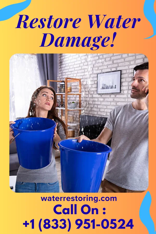water restoration Apex Water Repair Contractors Yarmouth Port